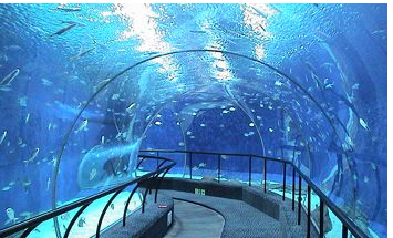 清明、5.1旅游需要注意什么