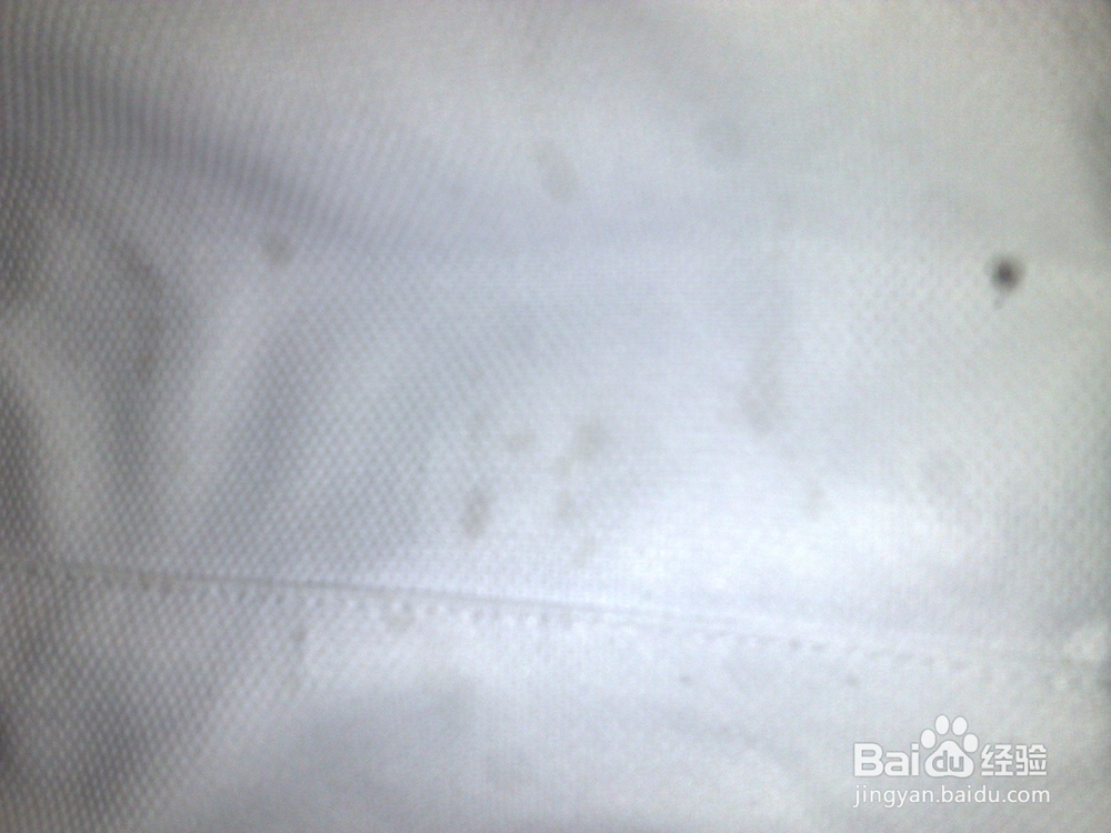 怎样洗掉衣服上的睫毛膏渍