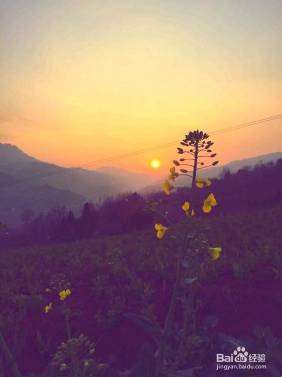 成大事必备手段