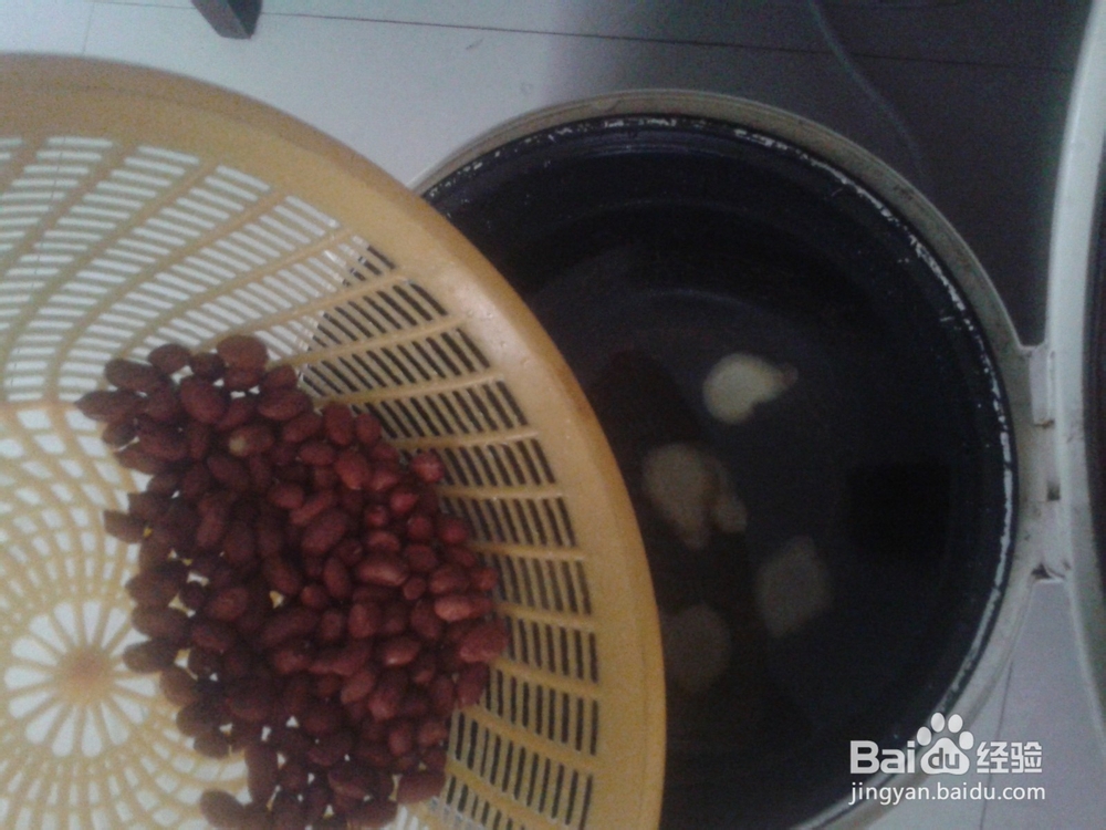 花生莲藕煲脊骨汤