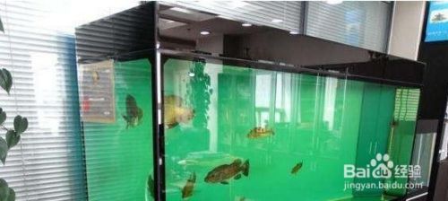 鱼缸放底砂水好脏白的怎么处理 百度经验