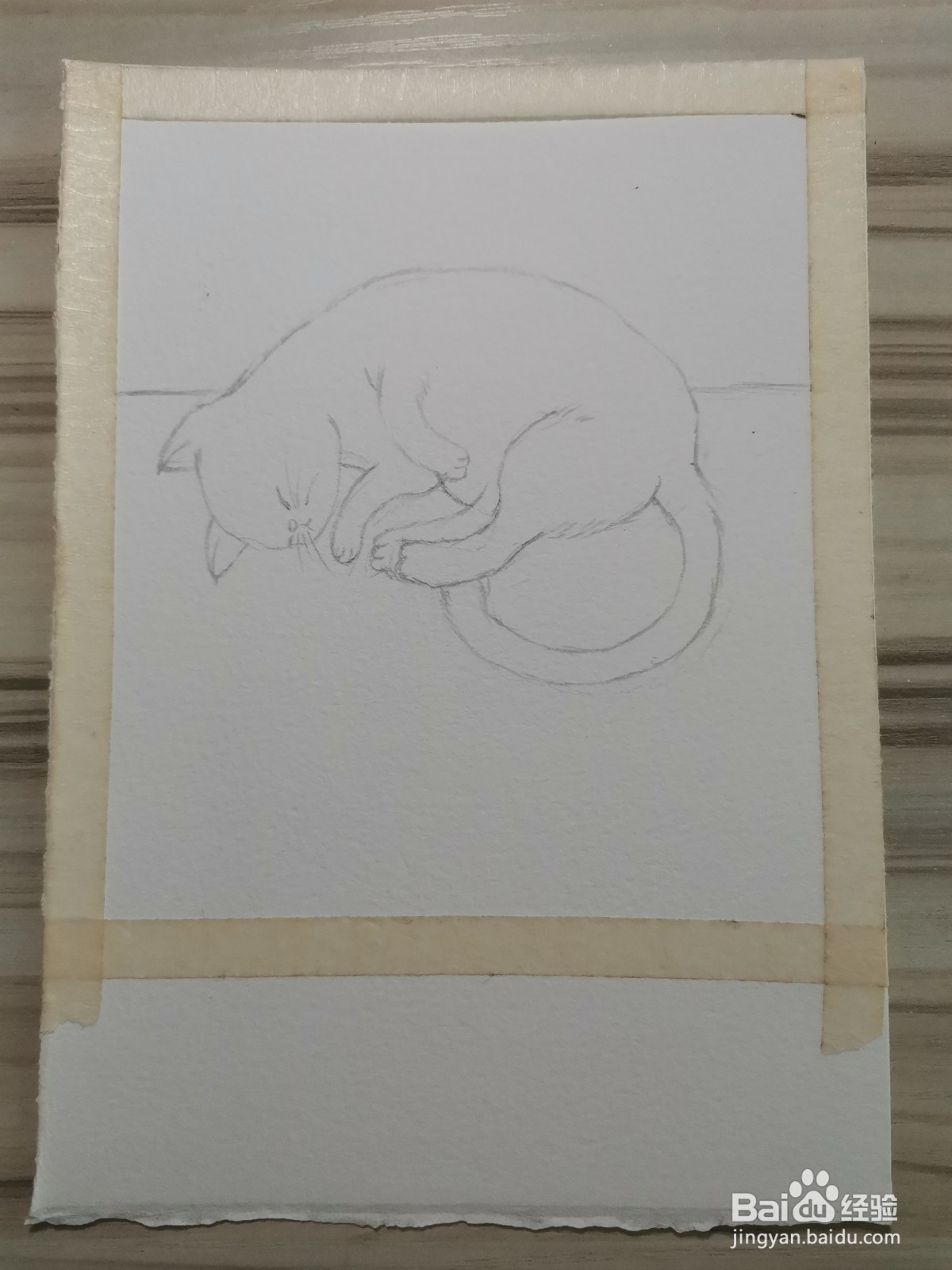 我家的猫咪水彩手绘线稿教程