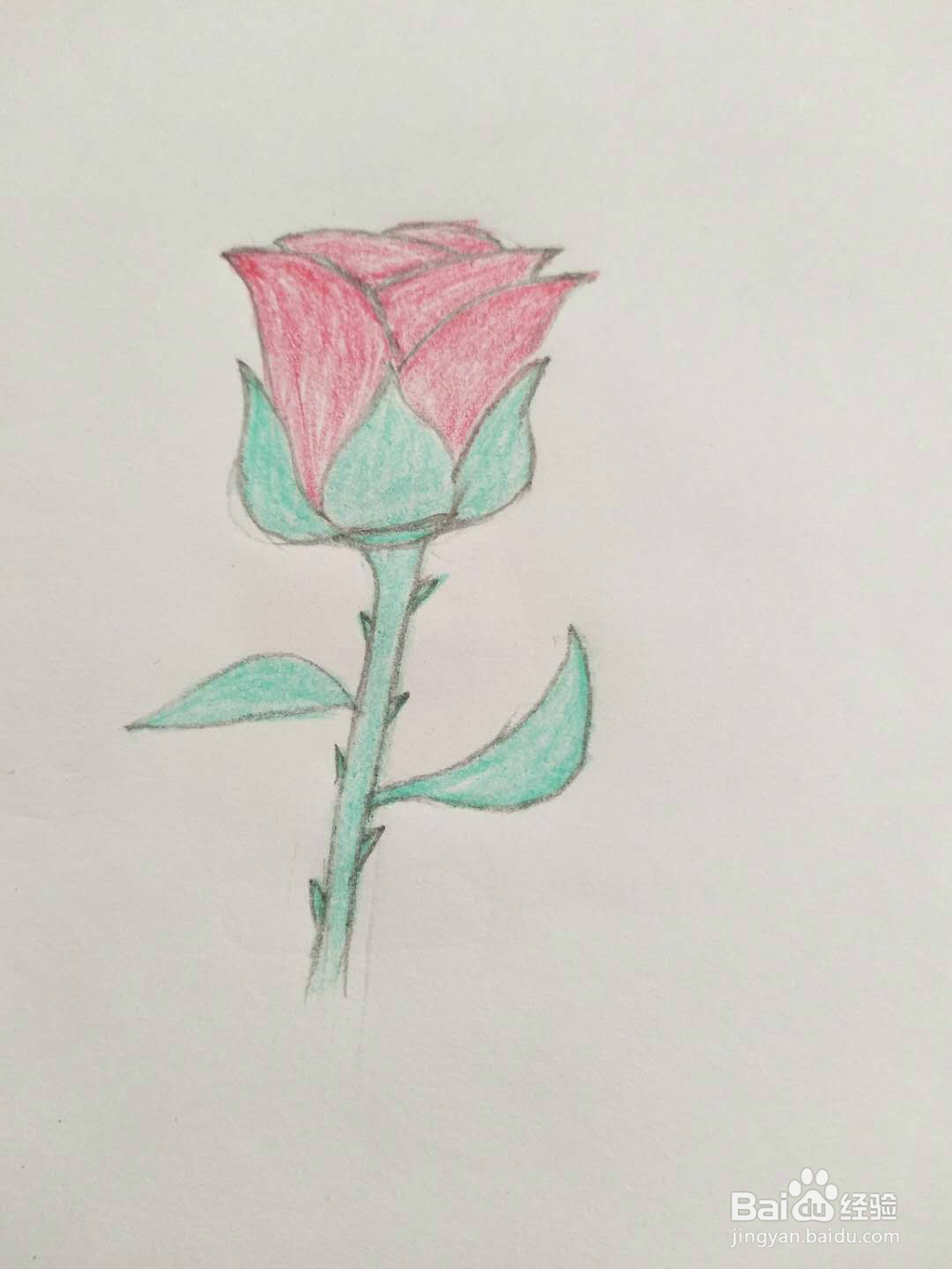 简笔画玫瑰花怎么画呢