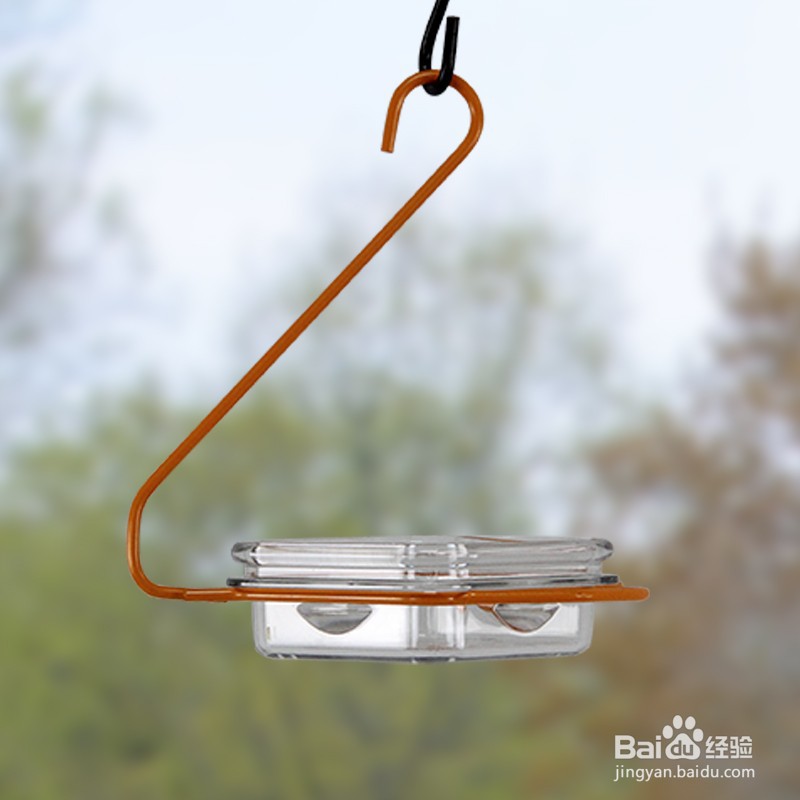 小麻雀不张嘴如何喂食