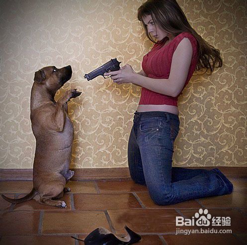 如何训练狗狗大小便