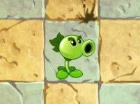 植物大战僵尸——进阶植物的建议(初期篇)