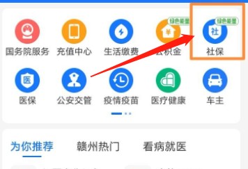支付宝怎么打印社保缴费明细