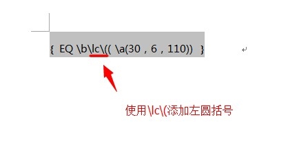 Word域代码特殊指令详解之二：\B括号开关
