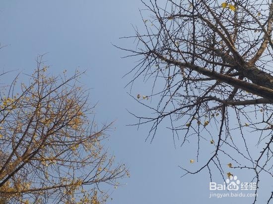 三星C9 Pro评测:国际品牌的接地气典范