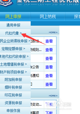 个人所得税如何网上申报