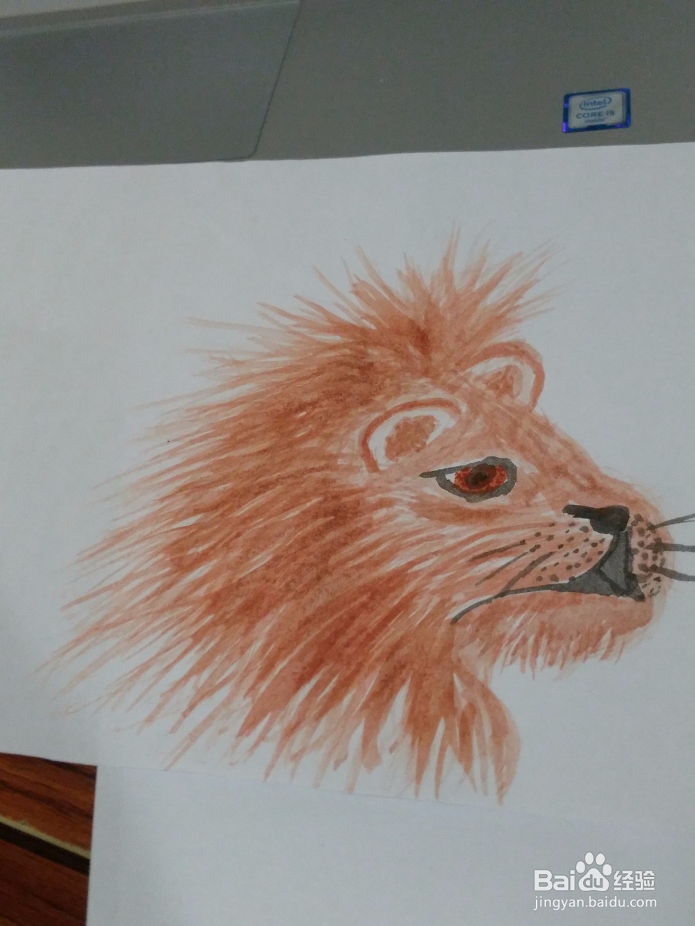 <b>高大威猛的狮子怎么画</b>