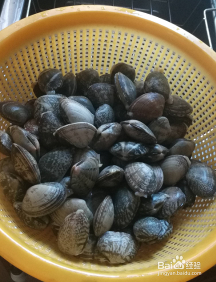 花甲粉丝鲜美又简单的做法