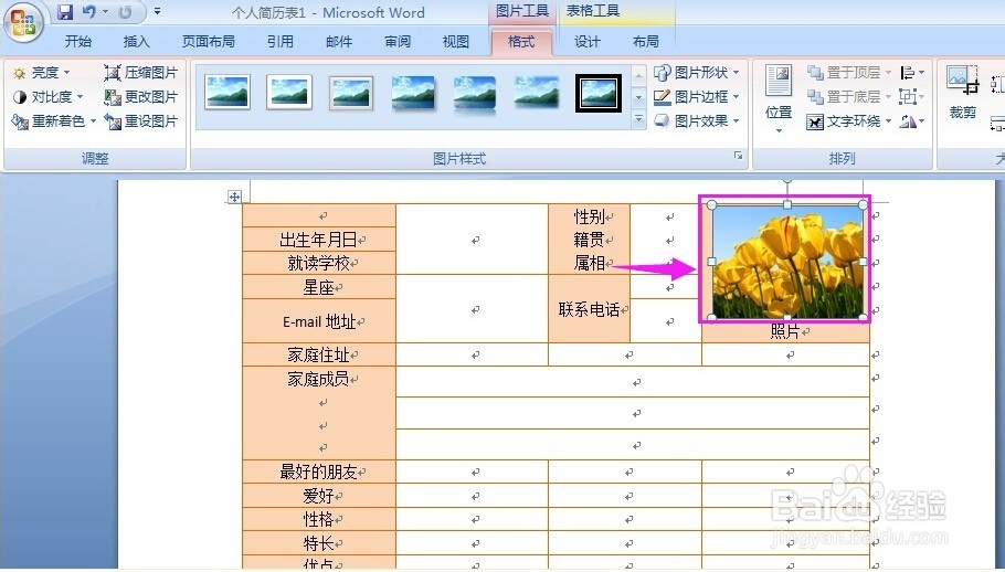 怎样在表格里插入图片
