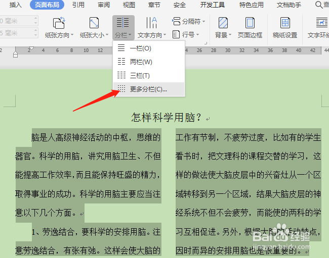 怎样设置WPS2019的分栏效果