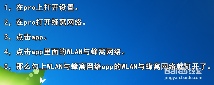 iphone12promax怎么设置app打开WLAN与蜂窝网络