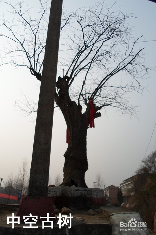 骑行中国：[14]合肥—黄冈