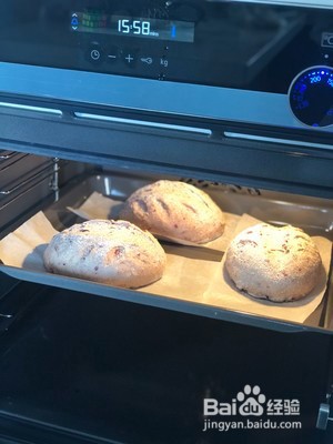 核桃蔓越莓全麦欧包的做法