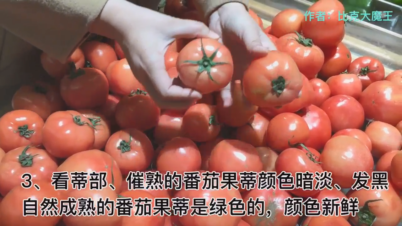 怎么挑选番茄