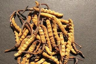 经常熬夜的危害都有什么