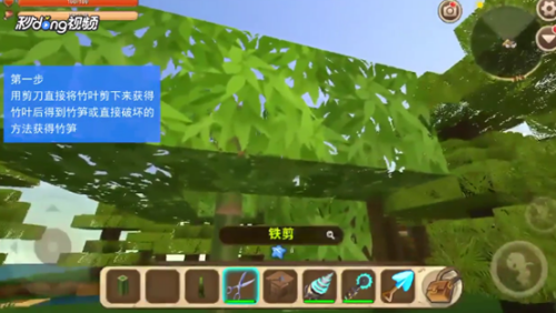 迷你世界怎么种竹子