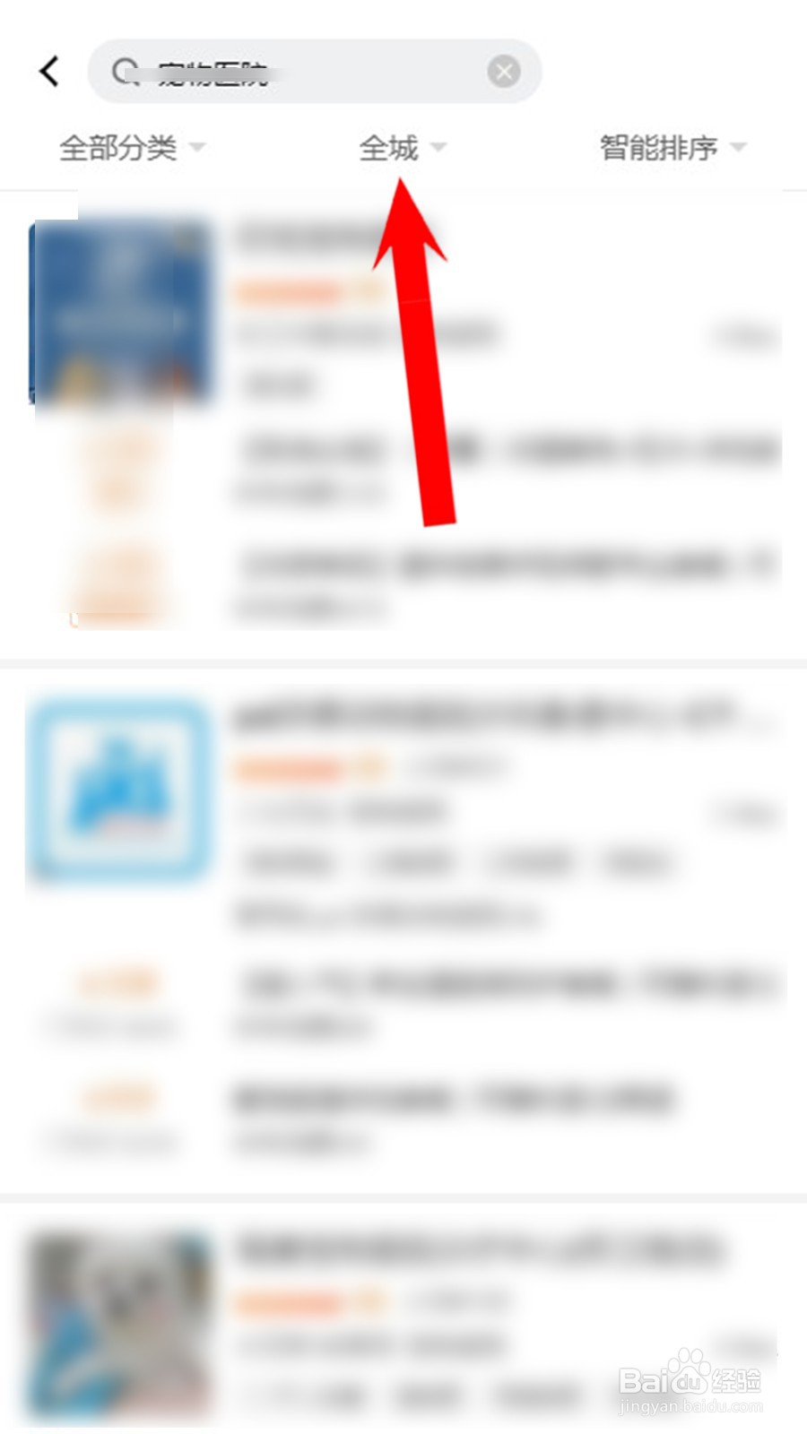 猫咪耳朵流血了以后怎么办?