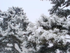 如何正确的管理自己