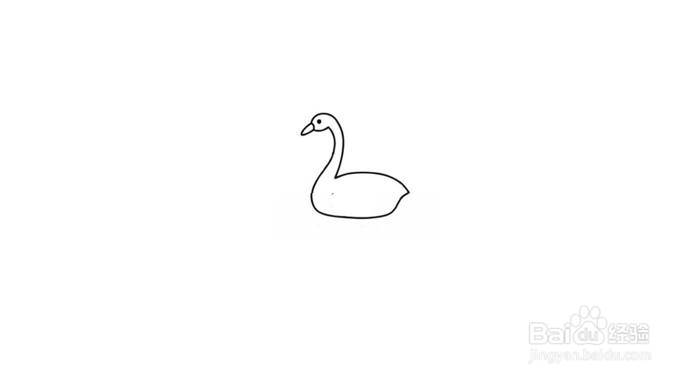 天鹅简笔画教程