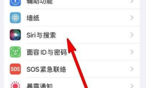 苹果siri声音怎么设置