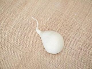 萝卜芝麻包怎么做？