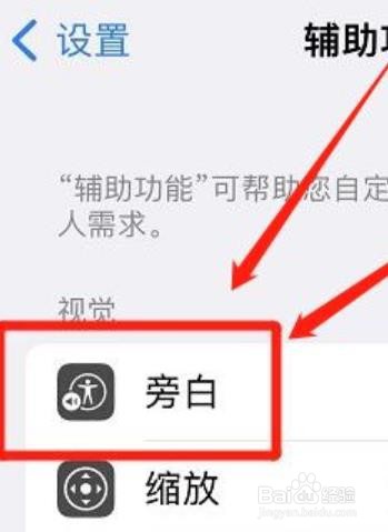 iphone语言检测功能怎么开启？