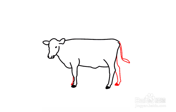 牛的尾巴怎么画简笔画图片