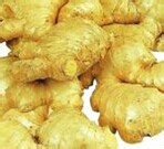 怎么样才能不掉头发