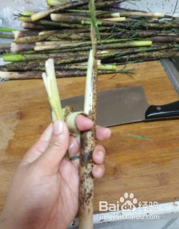 小笋子怎样保存