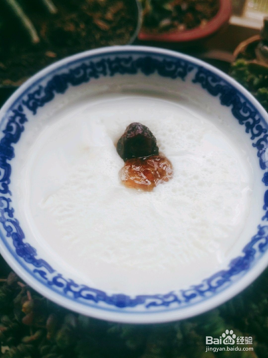 桂花蜜糖蒸酥酪