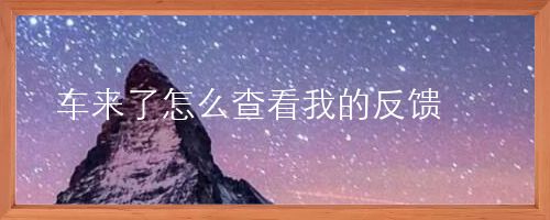车来了怎么查看我的反馈
