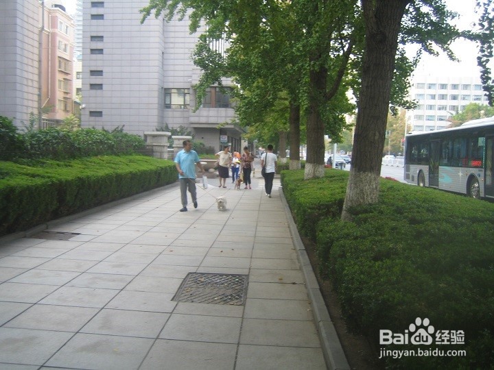 朋友在一起要注意道路行走安全