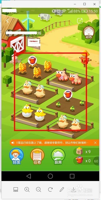 快速收获口碑农场蔬菜与土豆后，养殖猪鸡鸭家禽