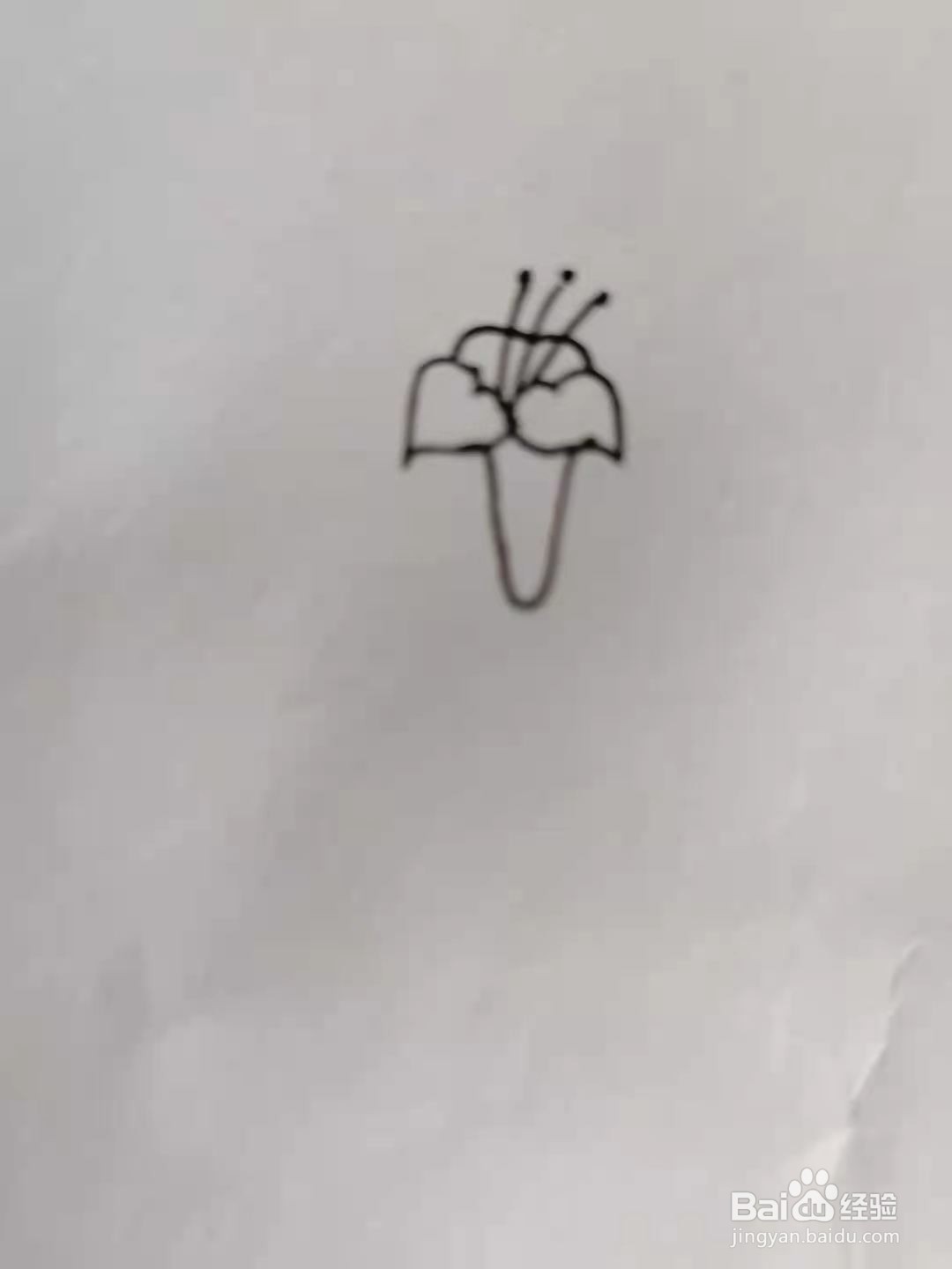 怎么画一朵百合花?#校园分享#