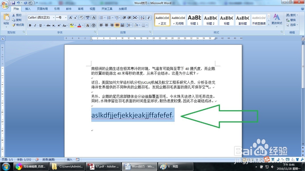 Word怎么切换英文字母拼音的大小写（两种方法）