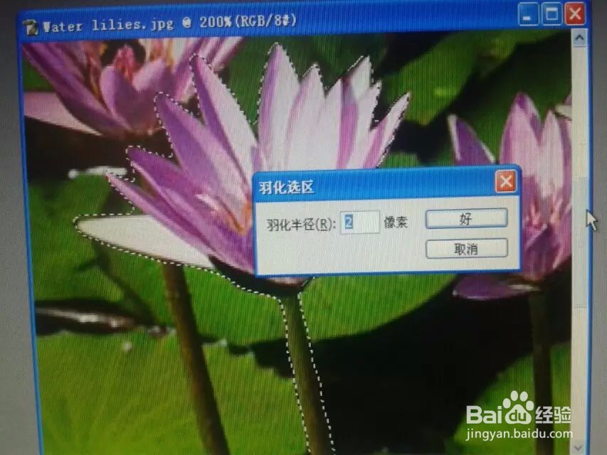 怎样在ps中用钢笔抠图