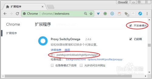 Chrome如何备份扩展程序(插件)的选项数据?