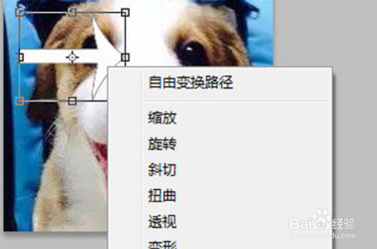PhotoShop如何旋转图片