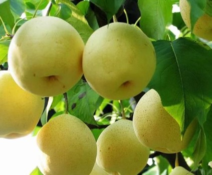 孩子多动症家庭治疗措施