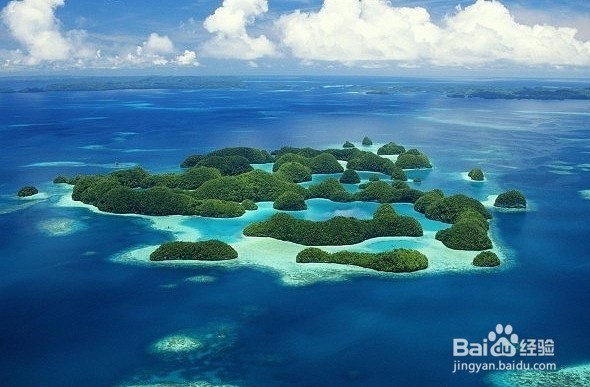 初行度假帕劳潜水体验路线