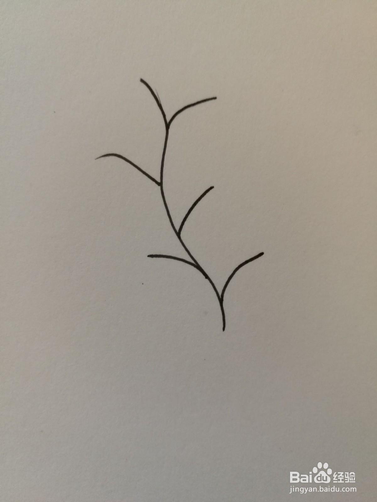 小草简笔画之画法九