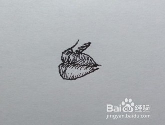 如何画嘴唇（侧面）一步一步教你画嘴唇
