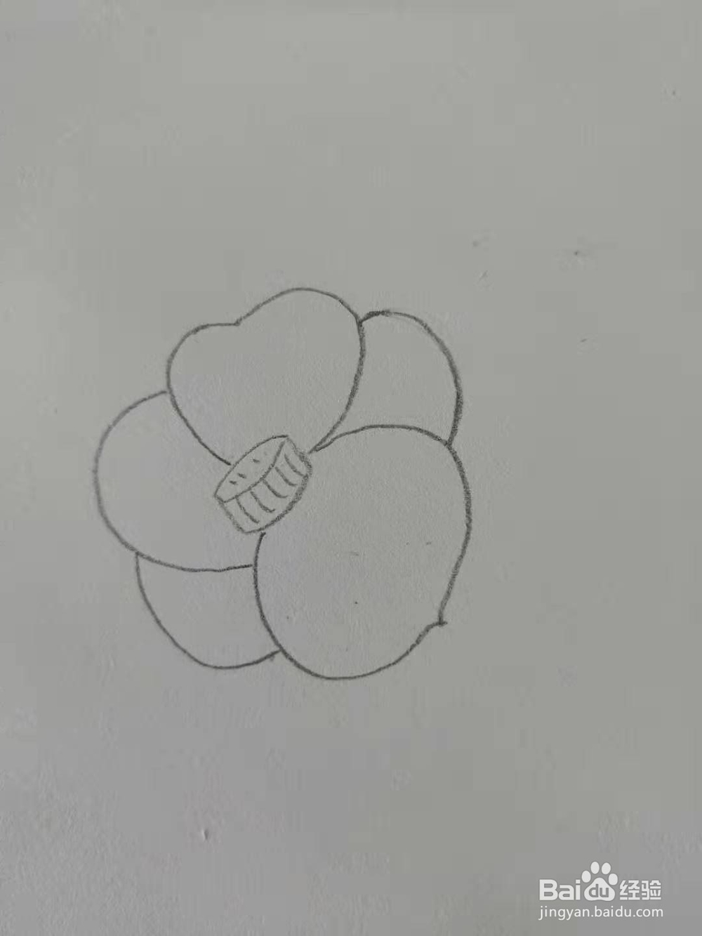 如何画梅花简笔画？