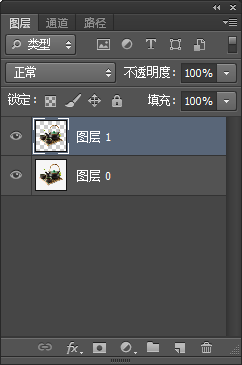ps抠图怎么复制到新的图层