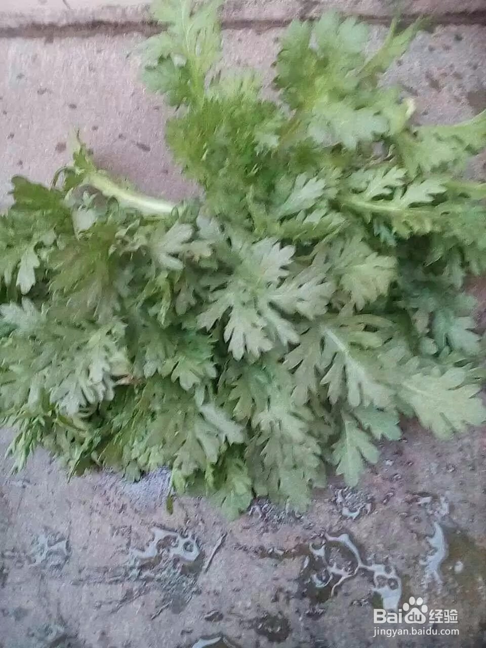 茼蒿菜怎么做