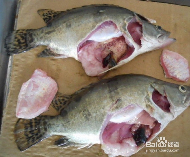 如何用冻鱼煮鱼汤更鲜美？